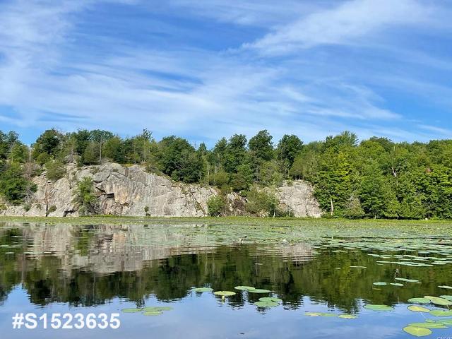   Grass Lake , Theresa, NY 13691